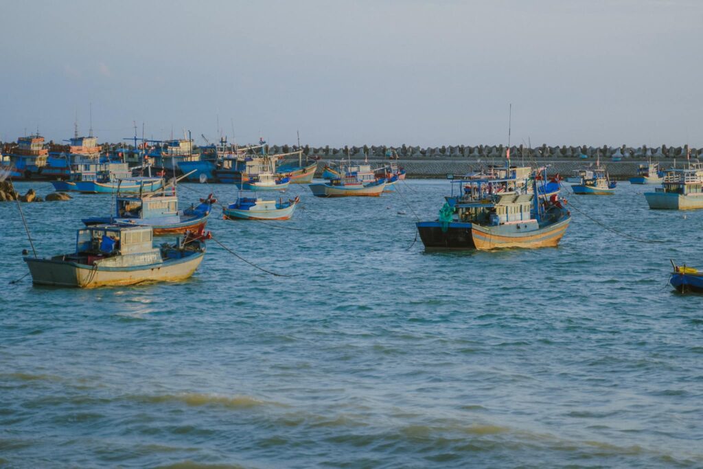 lịch tàu phú quốc tháng 10-2024